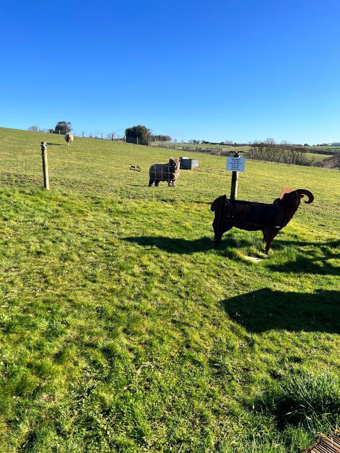 King Richard'S Luxury Lodge - Sleeps Up To 8 ,Dog Friendly ,Near Sherwood Forest At Fairview Farm In Nottingham Set In 88 Acres And Great For Groups,Family Gatherings,Corporate Events Kültér fotó